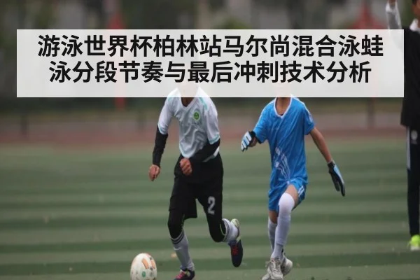 游泳世界杯柏林站马尔尚混合泳蛙泳分段节奏与最后冲刺技术分析